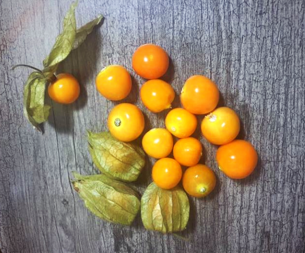 SUPERFOOD: Cape Gooseberries