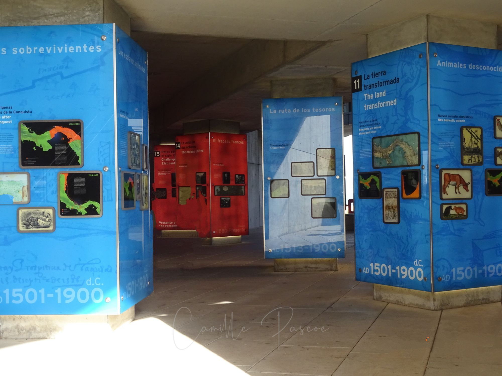 Interactive displays at the Museum Of Biodiversity in Panama City Central America