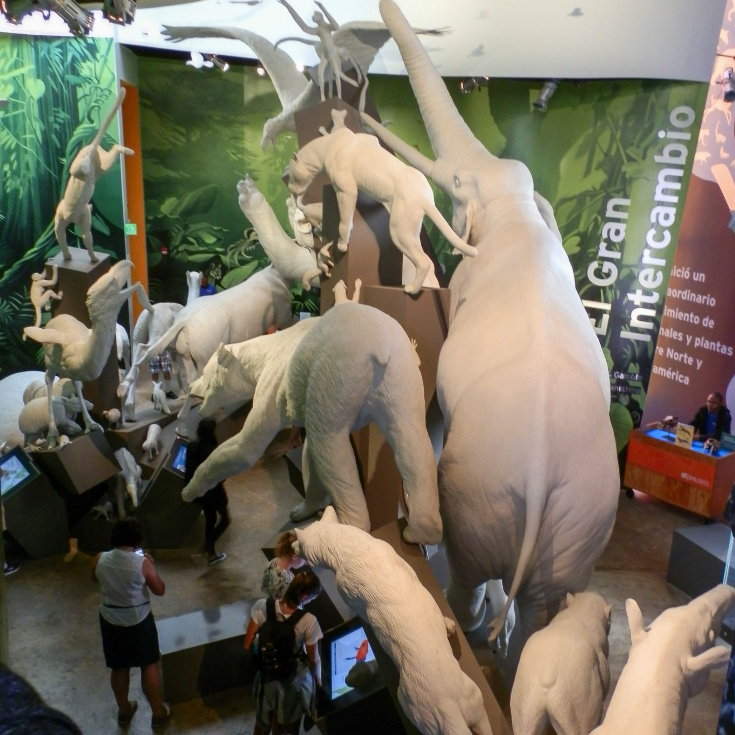 An animal migration display at the Museum Of Biodiversity in Panama City