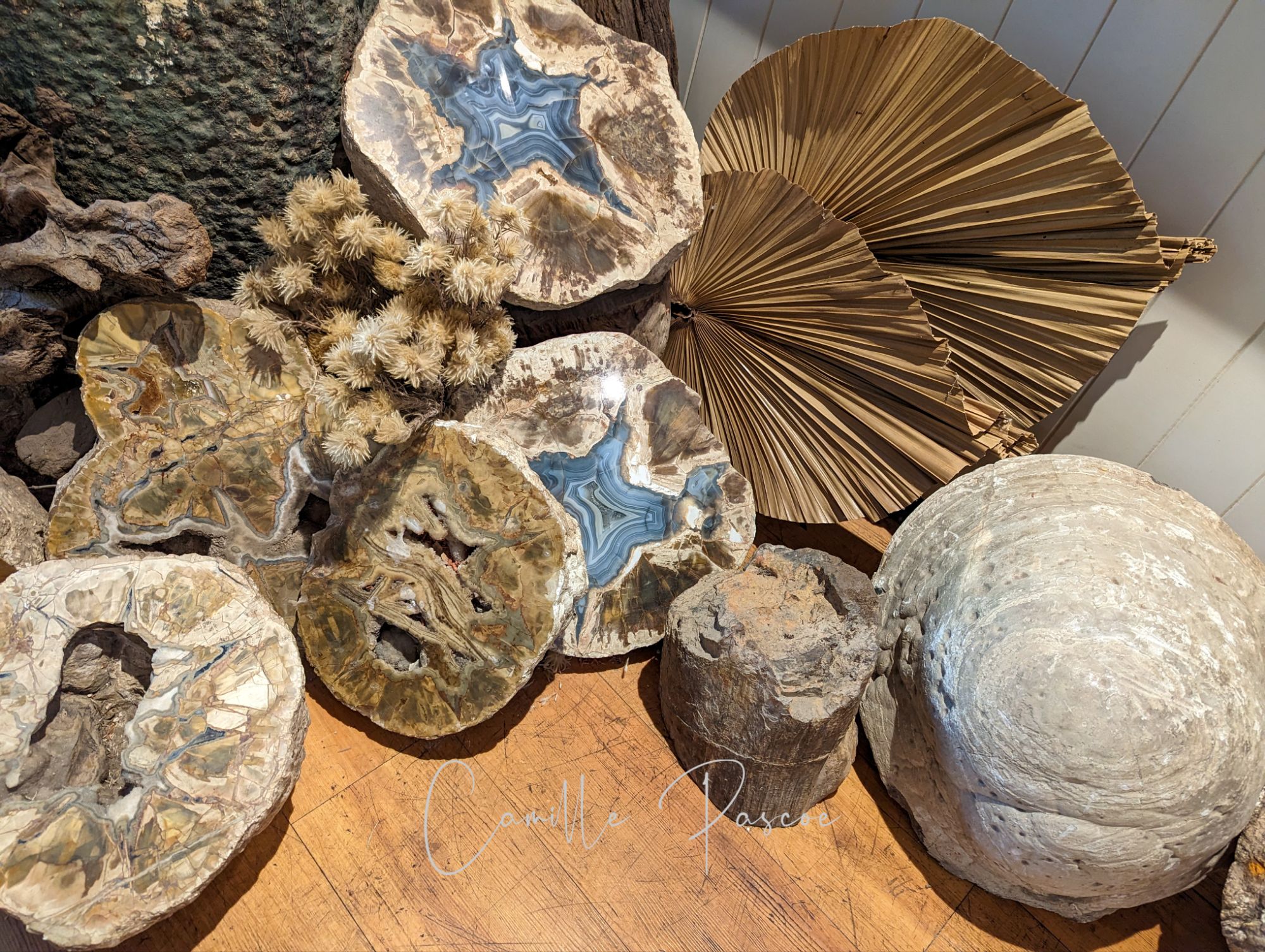 a display of Thunder Eggs at Thunderbird Park in Tamborine Mountain, Australia