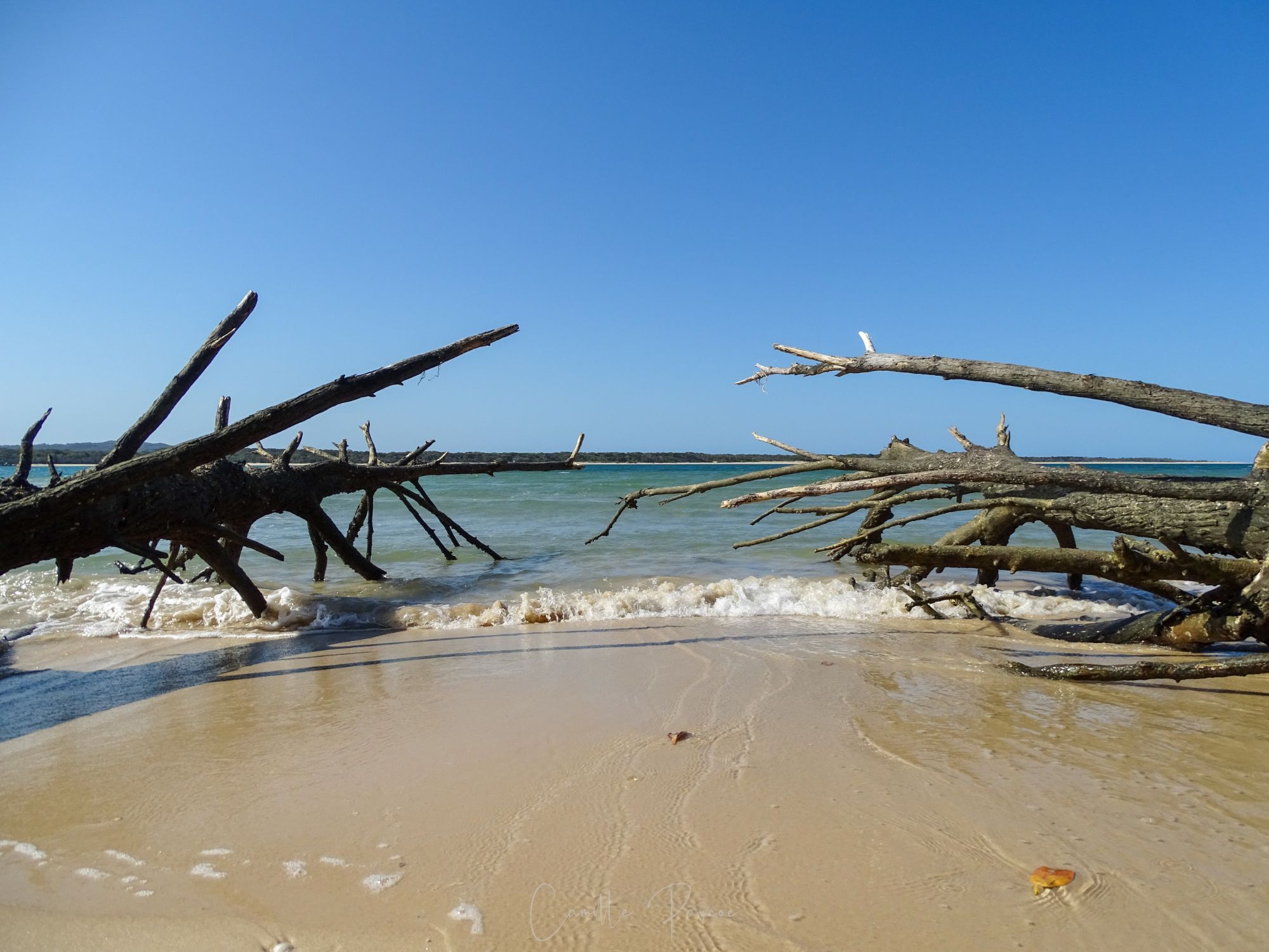 Inskip Point: Coastal Paradise and Camping Haven