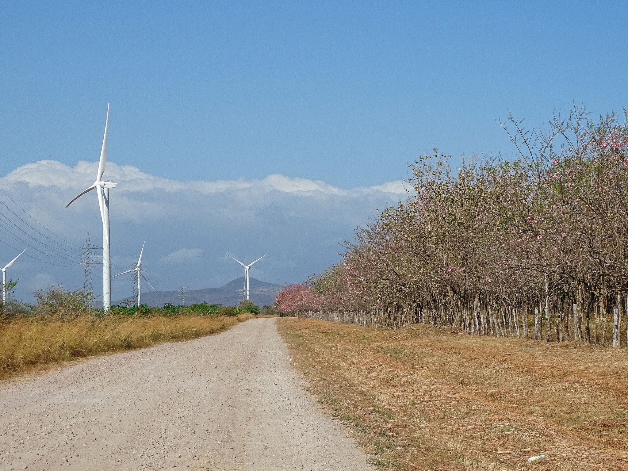 large wind turbines on a dirt road in Penonome