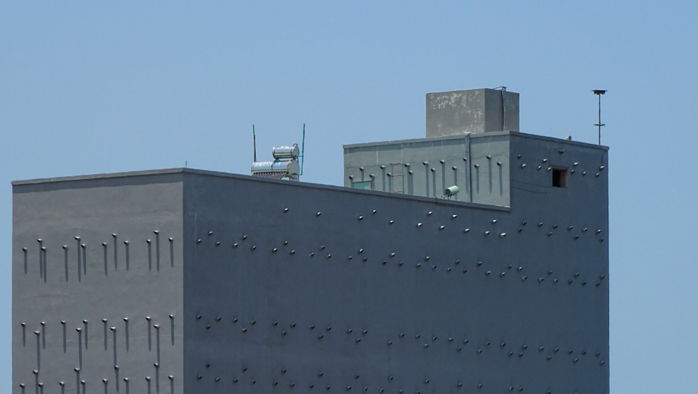 Exploring Swallow Nest Farms: A Unique Vietnamese Tradition