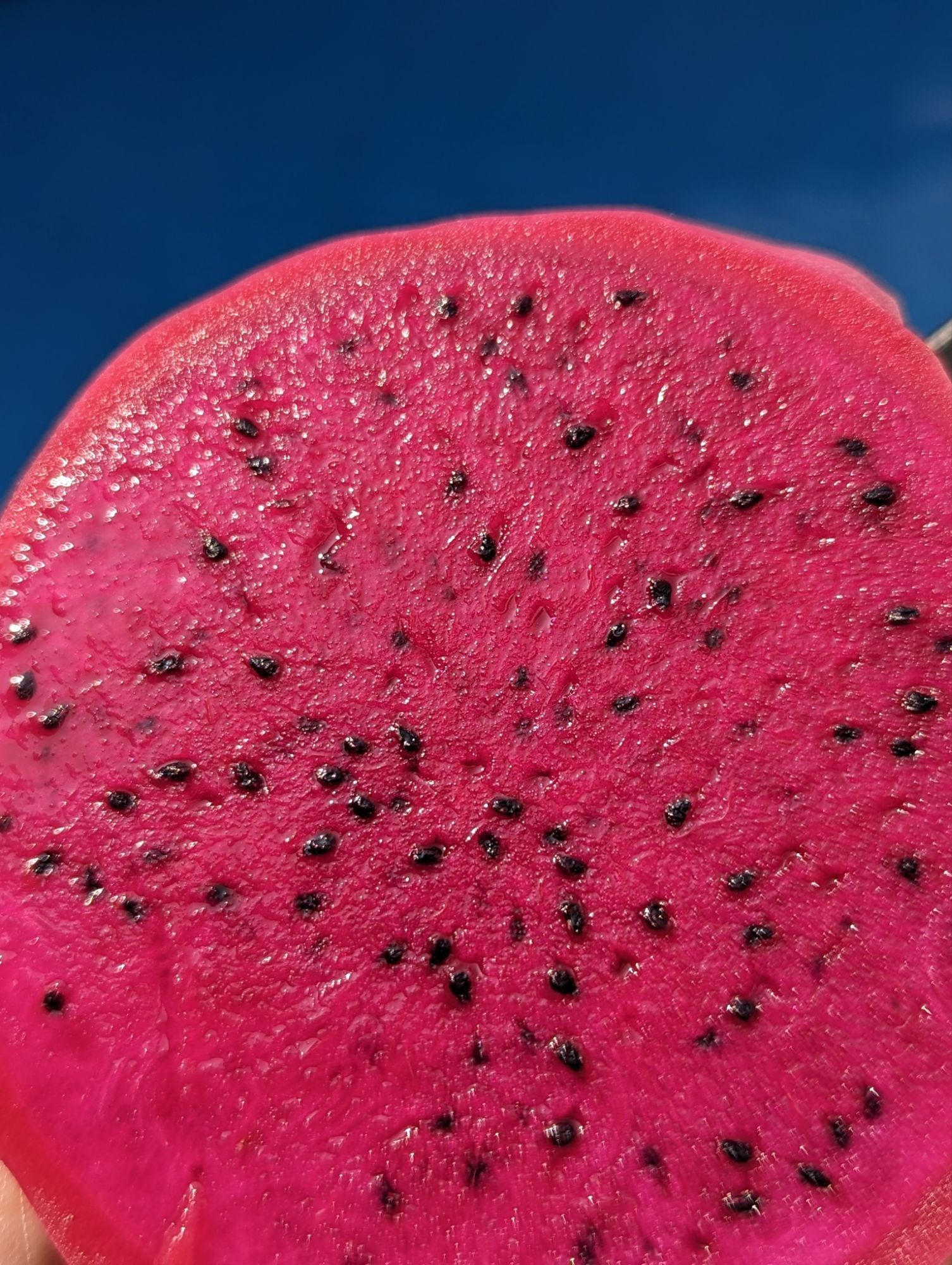 Dragon Fruit :Varieties, Origins and Health Benefits