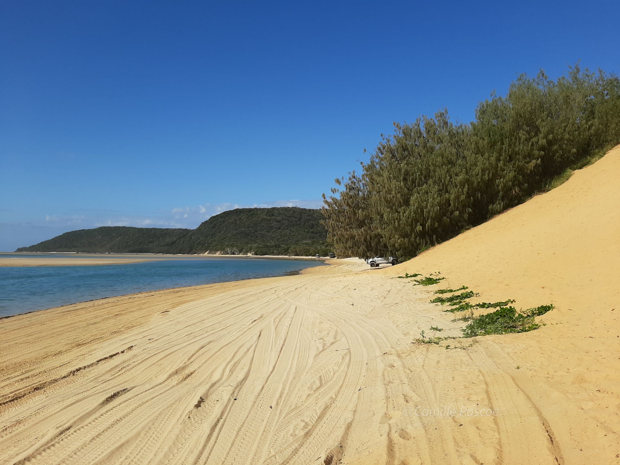 Discover Double Island Point: A Must-Visit Spot In Queensland