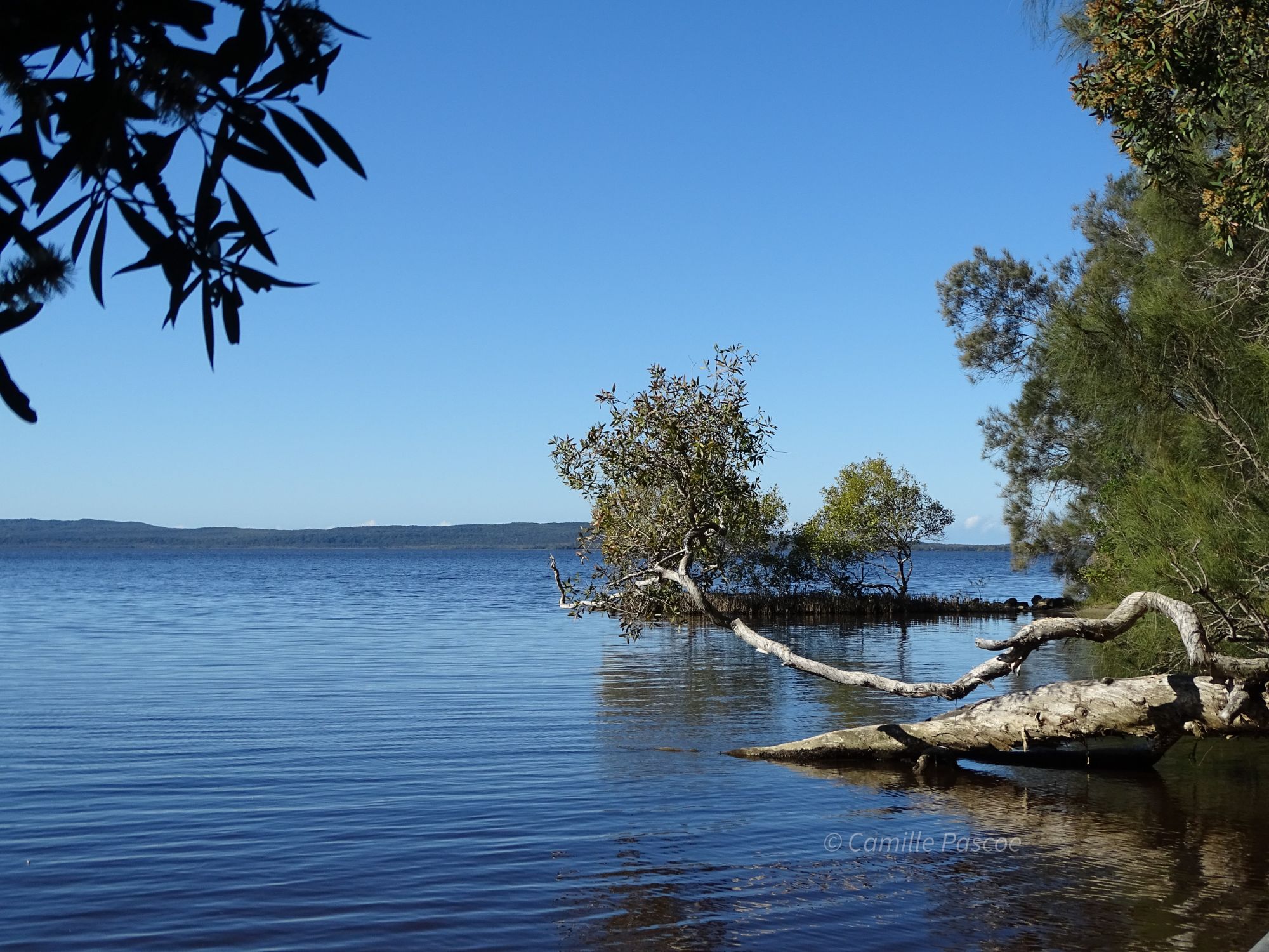 Explore Boreen Point: The Quaint Side Of Noosa Shire