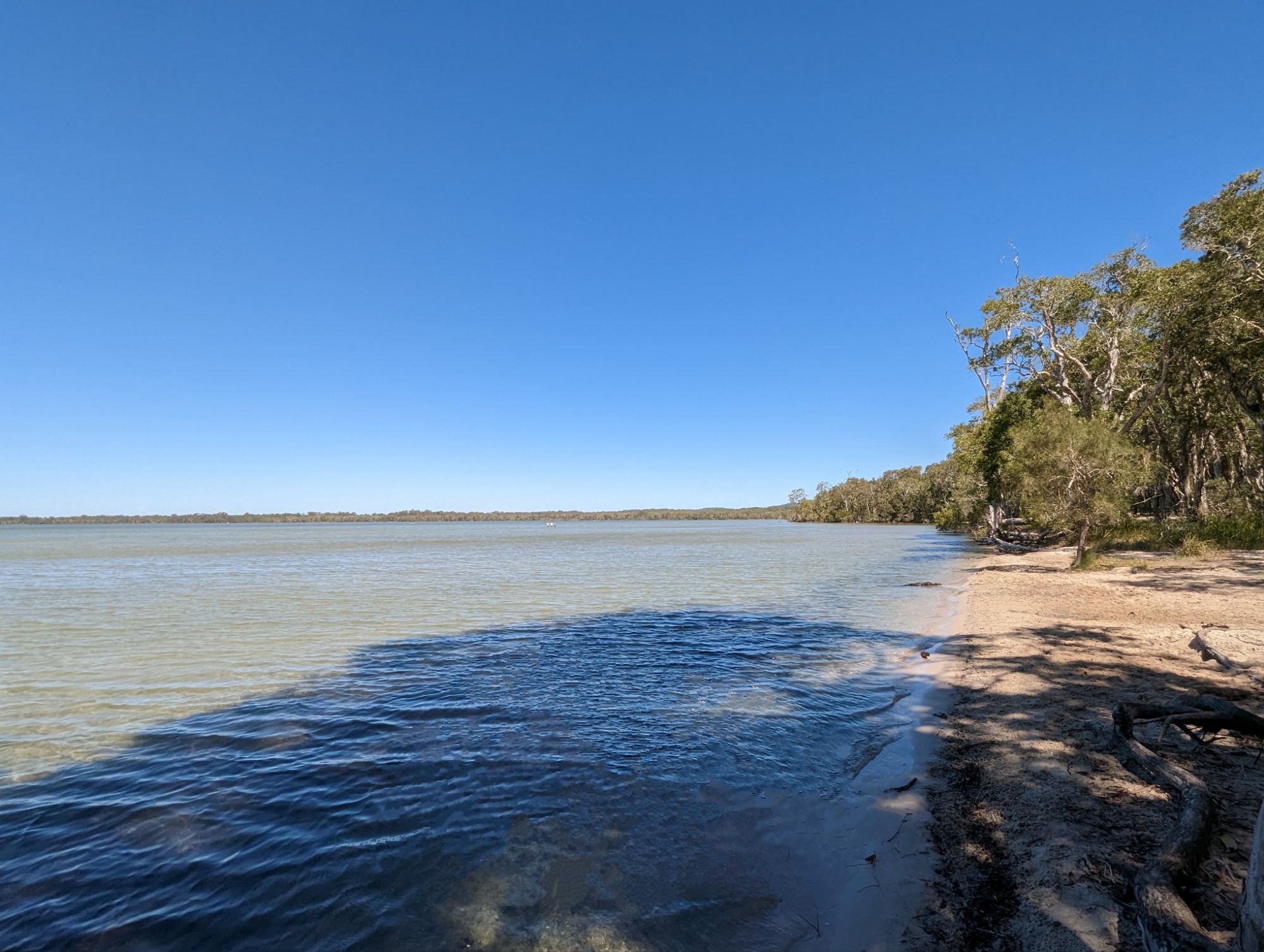 Explore Noosa's Hidden Gem: Lake Weyba