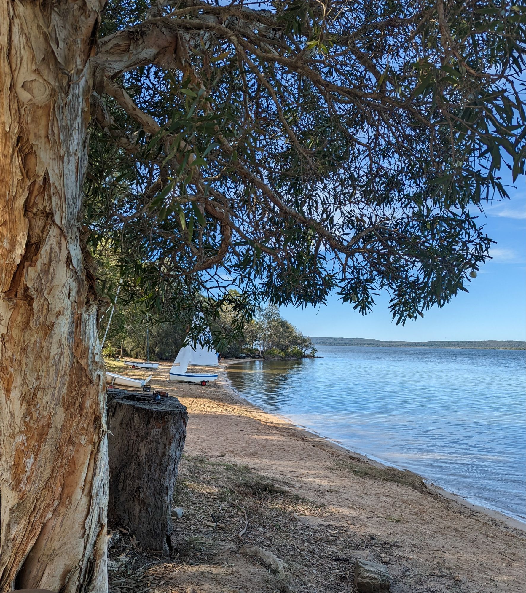 A scenic view of Lake Cootharaba from Boreen Point