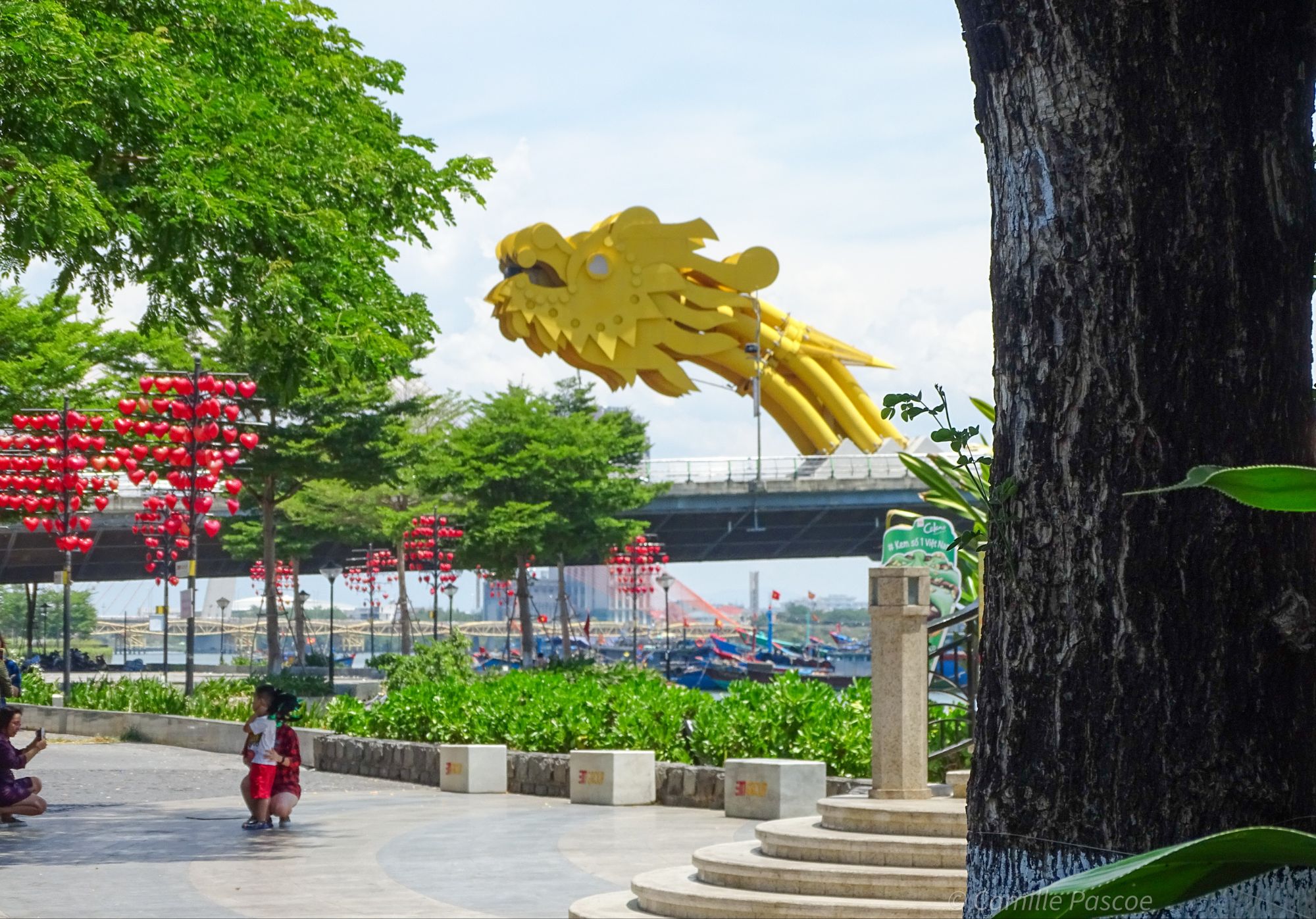An evening at Dragon Bridge Danang