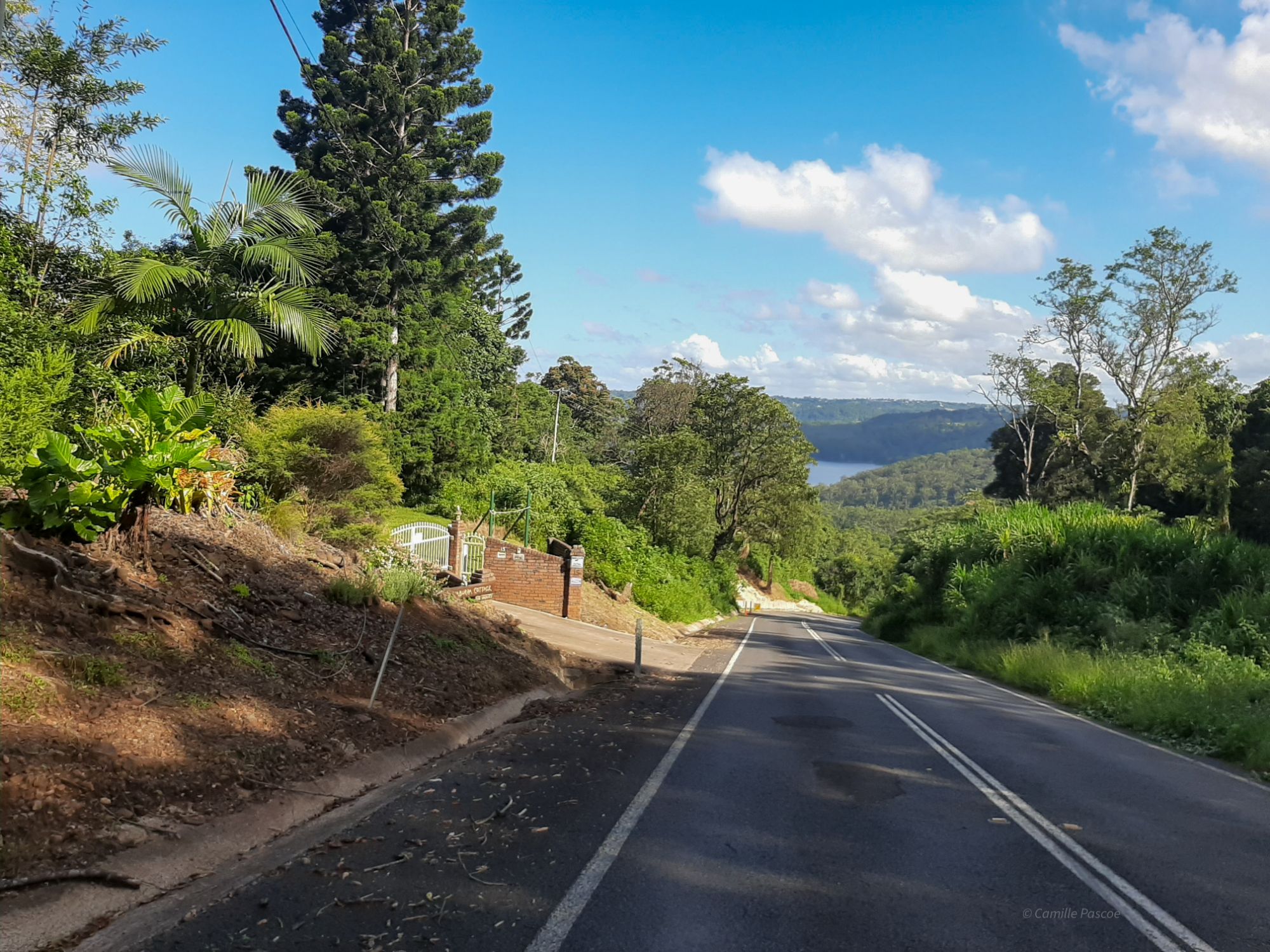 Heading down hill on Narrows Road with view of Lake Baroon and lush surroundings