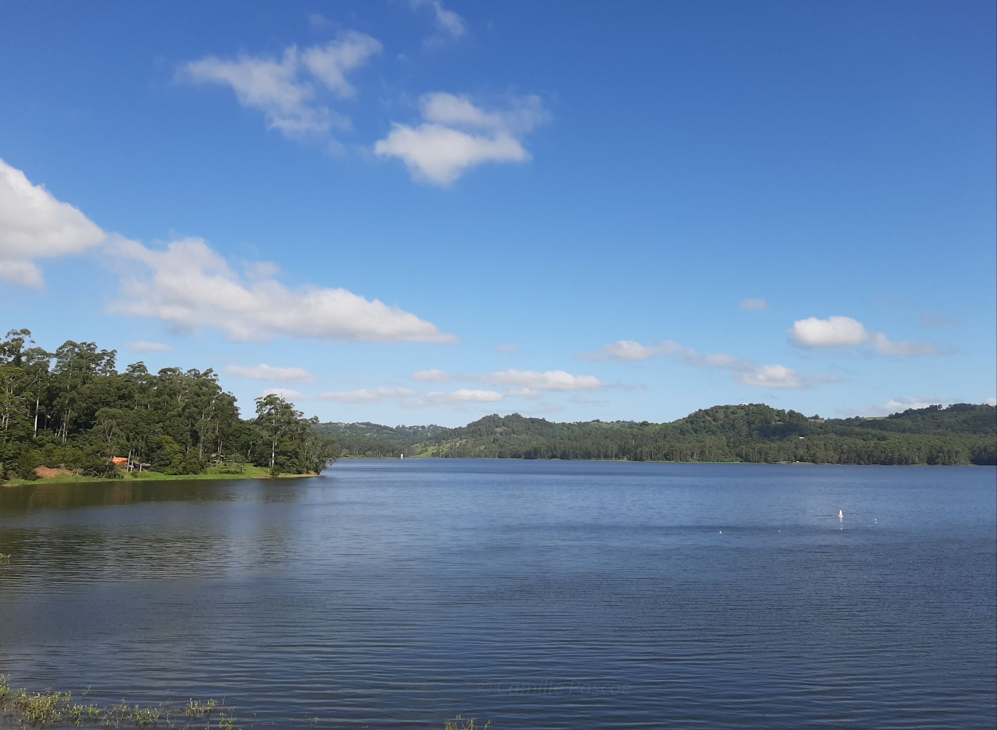 View of Baroon Pocket Dam from Narrows Road
