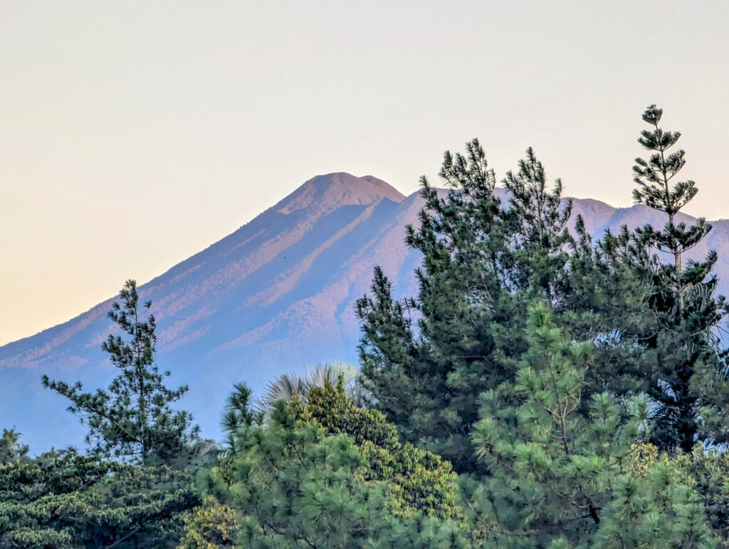 Evergreen pine trees and Mount Pangrango, a majestic volcano in Bogor Indonesia