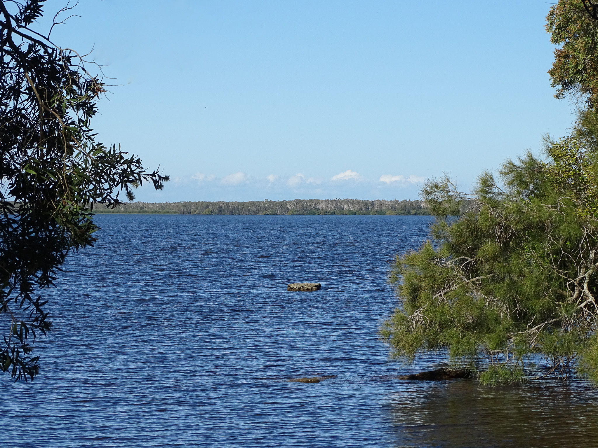 Lake Cootharaba: Queensland's Largest Natural Lake