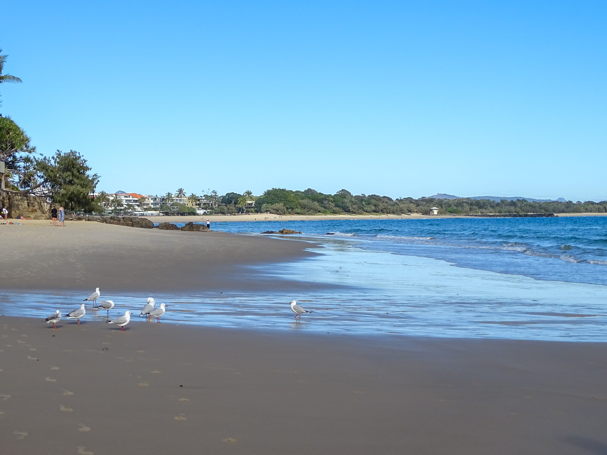 Three Places To Visit In Noosa Shire